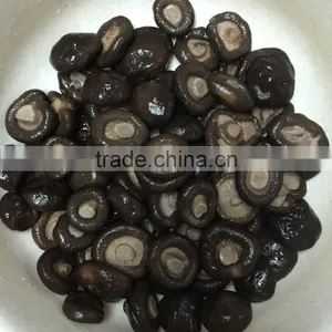 All Kinds of Cans Canned Food Shiitake Mushroom 1kg thumbnail-2