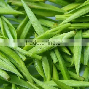 High-quality Green Tea Extract Camellia Sinensis With Tea Polyphenols 98% and EGCG 80% thumbnail-2