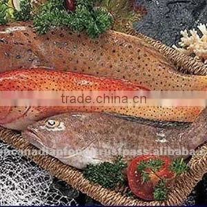 Sea Water Fresh Frozen Fish thumbnail-1
