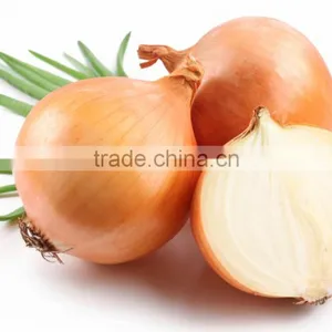 Fresh Onion thumbnail-1