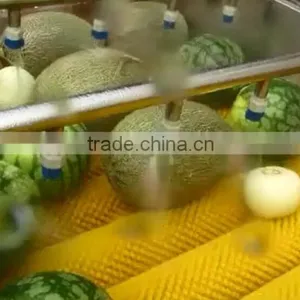 Full Automatic Industrial Vegetable And Fruit Washing Washer and Drying Dryer Machine thumbnail-4