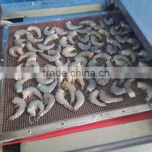 Microwave Shrimp Dryer and Sterilization Equipment thumbnail-2