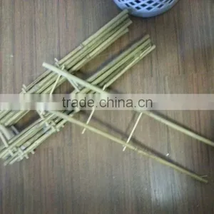 ZENT-81 Bamboo Trellis for Flower and Plant thumbnail-1