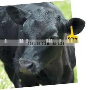 2015 Competitive Price Microchip Read-only RFID Animal Tag (SL-1001) thumbnail-5