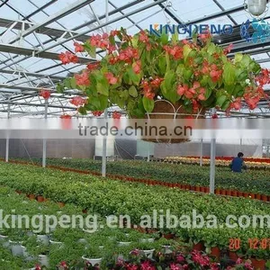 Greenhouse for Growing Flowers thumbnail-5