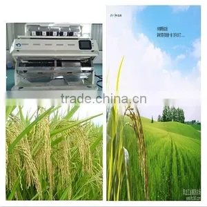 2015 the Most Hot Selling Ccd Color Sorter More Popular in the World thumbnail-1