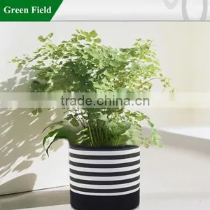 Green Field Wholesale Garden Grow Flower Pot & Planter thumbnail-1