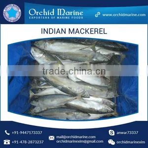 A Grade Good Taste Canned Indian Mackerel Fish Supplier thumbnail-2