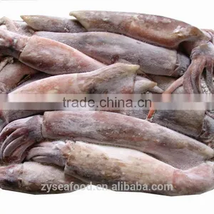 Frozen Peru Squid thumbnail-1