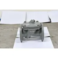CV43 Swing-flex Check Valves thumbnail-1