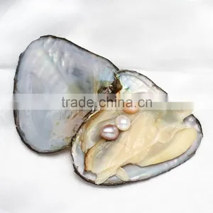 Raw Pearlsfreshwater Cultured Love Wish 9-9.5mm Colored Oyster Pearls thumbnail-2