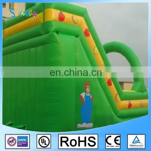 Inflatable Jumping Bouncer Slide / Jumping Castles Inflatable Water Slides Made In China thumbnail-4