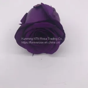 Preserved Fresh Roses Flower for Home Decoration thumbnail-2
