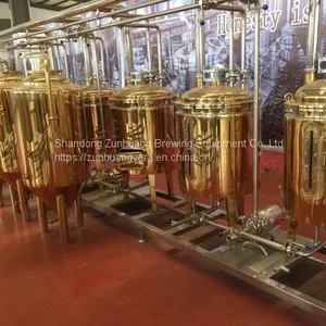 300L/ 2BBL Titanium Plating Stainless Steel Beer Fermentation Tank Beer Fermenter thumbnail-4