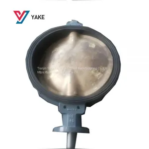 Aluminum Bronze Disc Manual Wafer Lever Handle Butterfly Valve DN50-DN1200 Ship Butterly Valve thumbnail-3