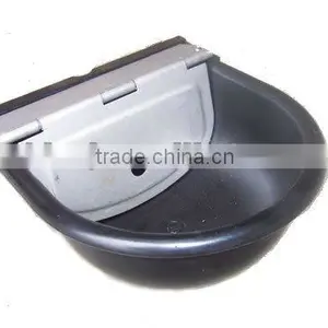 Water Bowl thumbnail-1