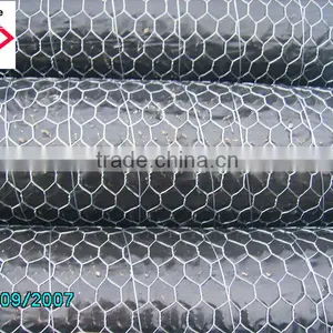 Hexagonal Iron Wire Mesh thumbnail-1