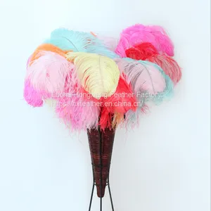 Natural 10-75cm Artificial Ostrich Feather for Party and Wedding Decoration thumbnail-2