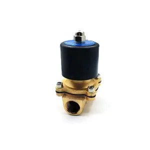 2/2 Way 220V Direct Acting Brass Material 2w160-15 Irrigation Water Solenoid Valve thumbnail-2