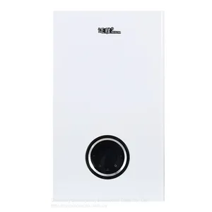 China Factory Gas Wall Hung Boilers Wholesale Price Domestic Lpg Ng Instant Gas Geyser Boiler thumbnail-2