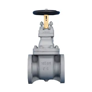 Hot Sale JIS Cas Iron Flange Type Gate Valve Use Marine FC 5K 100A 65A Gate Valve thumbnail-3