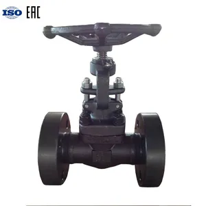 Custom ANSI Forged Gate Valve for Industrial Fluid Control With Manual Handwheel Operation thumbnail-5