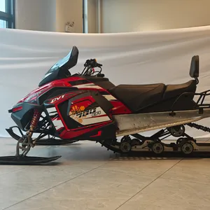 Gasoline Snowmobile Children 150cc 180cc 200cc 300cc 700cc Adult Snowmobiles Cross-country Skiing on Ice thumbnail-5