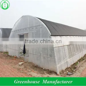 Greenhouses for Agriculture thumbnail-1