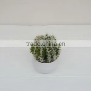 Real Touch Mini Potted Artificial Plants Cactus Plants Tropical Plants thumbnail-1