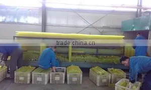 Zibo Hengjiu PU Technology Co., Ltd. company overview - view 4 thumbnail