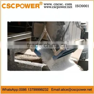 SIW250 CSCpower Automatic Electronic Ice Weighing and Packaging Machine thumbnail-2