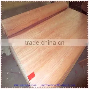 Natural PLB Veneer for India Market High Quality Plb Veneer Plb To India thumbnail-1