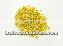 Rape Flower Pollen thumbnail-1