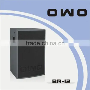 BR Series PA Loudspeaker BR-12 thumbnail-1