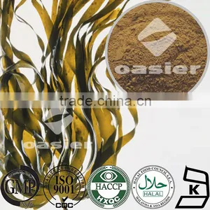Chinese Natural Vegetable Extract Kelp Fucus Extract 0.1-0.3% Iodine Powder Cancer Prevention thumbnail-1