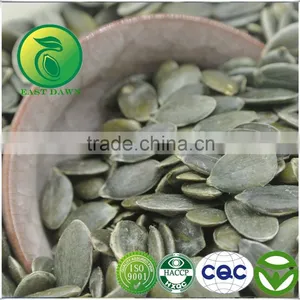 Grade A Pumpkin Seeds GWS (Grown Without Shell) thumbnail-1