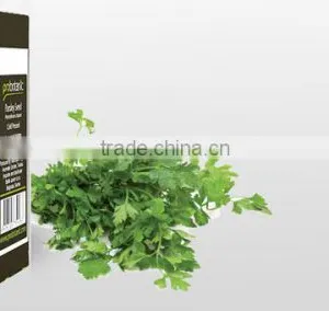 Parsley Seed Oil thumbnail-2