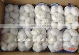 Chinese Garlic thumbnail-1
