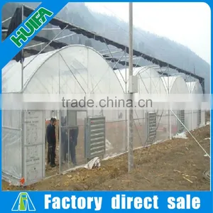 8m Width Multi-span Plastic Film Tunnel Vegetable Greenhouses for Sale thumbnail-1