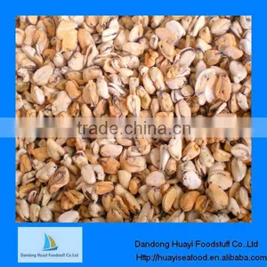 High Quality Mussel Frozen thumbnail-1