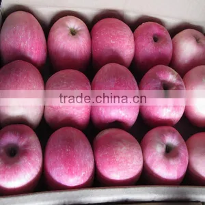 Fuji Apples thumbnail-1