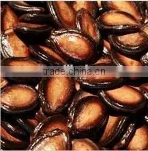 Roasted Watermelon Hot Sale in Market From Our Factory thumbnail-4