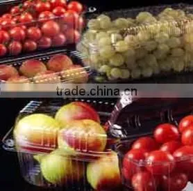 Fruit Tray Plastic Vacuum Forming Machine Good Quolity thumbnail-1