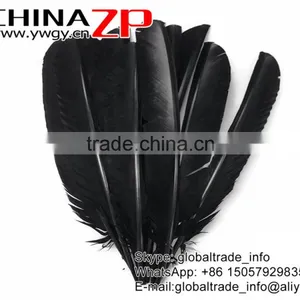 CHINAZP Cheapest Plumage Natural Dyed Black Turkey Pointers Quill Large Feathers Pens for Sale thumbnail-2