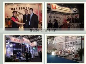 Beyond (Tianjin) Musical Instrument Manufacture Co., Ltd. company overview - view 1 thumbnail