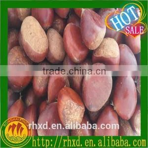 New Crop Chinese Chestnuts/ Raw Organic Bulk Nuts/peeled Chestnuts for Sale/roasted Chestnuts thumbnail-4