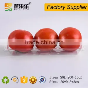 Disposable Plastic Food Packaging Tray thumbnail-4