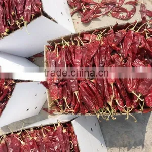 Red Dried Chilli thumbnail-1
