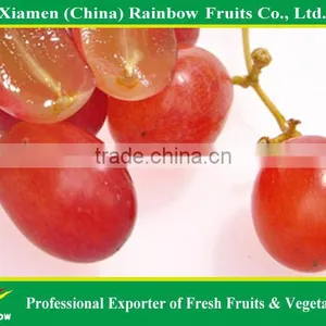 Globe Price Of Chinese Fresh Red Globe Grape thumbnail-1