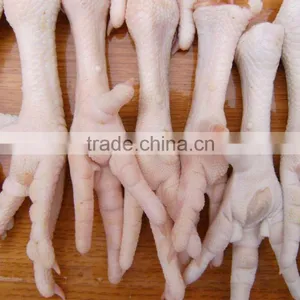 Chicken Feet and Chicke Paw Halal Processed thumbnail-1
